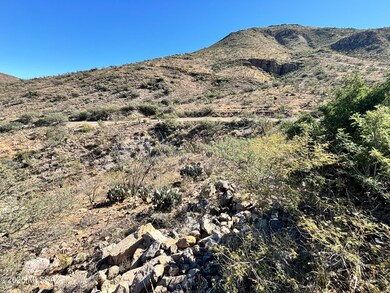 1770 Calle Pescador unit 1, Rio Rico, AZ 85648 - photo 7