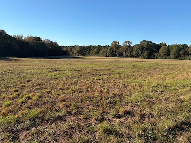 TBD E Redcut Rd, Fouke, AR 71837 - photo 7