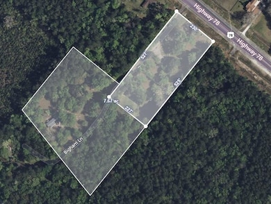 949 Highway 78, Ridgeville, SC 29472 - photo 4