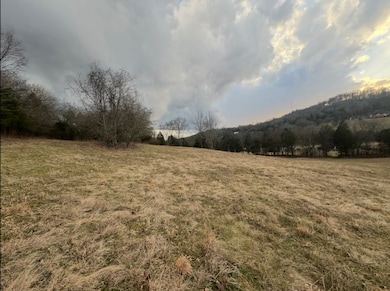 502 Rogues Fork Rd, Westmoreland, TN 37022 - photo 5