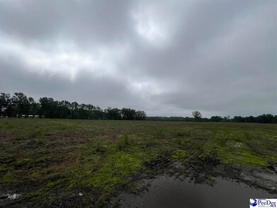 TBD Harry Byrd Hwy, Darlington, SC 29532 - photo 5