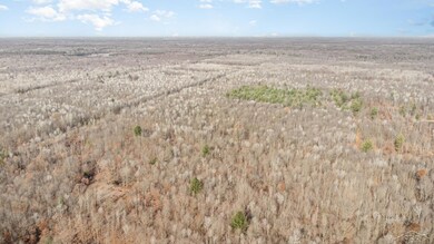 0 S County Line Rd unit 50195279, Shepherd, MI 48883 - photo 5