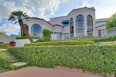Lush Backyard