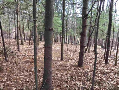 56 Famous Author Cir, Athens, NY 12015 - photo 4