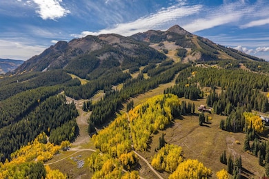23 Gray Fox Ln, Crested Butte, CO 81225 - photo 4