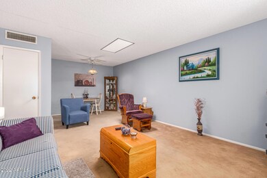 13245 N 110th Ave unit 206, Sun City, AZ 85351 - photo 6