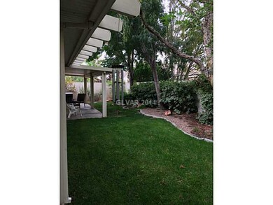 Yard/Garden.