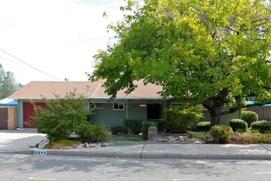 Front yard