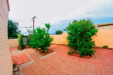 IMG_3696