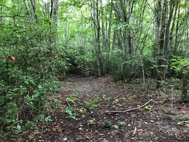 Tbd Bobcat Dr, Big Stone Gap, VA 24219 - photo 7