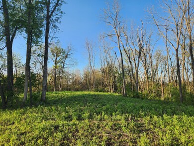 0 E State Road 44 unit MBR21919261, Franklin, IN 46131 - photo 4