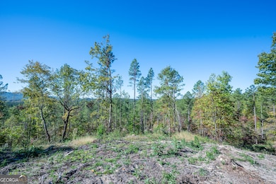 3875 Hwy 140 NE, Rydal, GA 30171 - photo 3