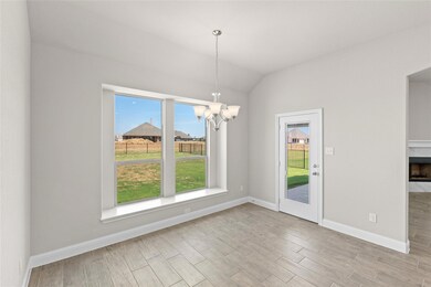 3105 Ferry Boat Ln, Granbury, TX 76049 - photo 7