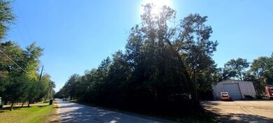 TBD Alexandria Dr, Conroe, TX 77302 - photo 5