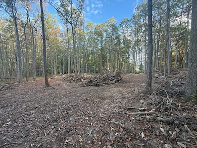 1228 Flat Top Rd, Shady Spring, WV 25918 - photo 5