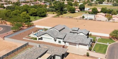 3rd Largest Whitewing Lot