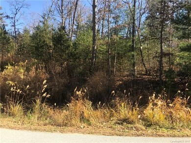 00 Baton Ln, Hendersonville, NC 28792 - photo 3