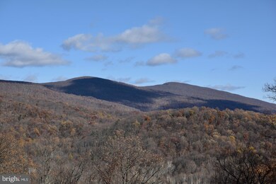 670 Keyser Run Rd, Washington, VA 22747 - photo 4