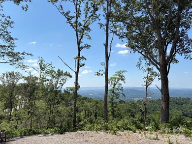 Lot 50 Mountain Grove Ln unit 50, Fletcher, NC 28732 - photo 7