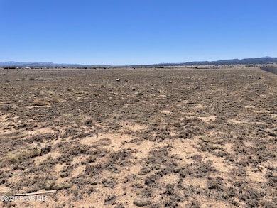 3805 W Chianti Ln, Paulden, AZ 86334 - photo 4