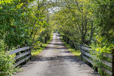 400 Rhonda Ln, Knoxville, TN 37920 - photo 3