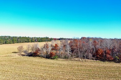 NA Flamingo St NW, Bradford Township, MN 55040 - photo 4