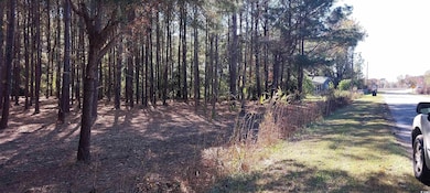 0 Millers Rd, Mullins, SC 29574 - photo 2