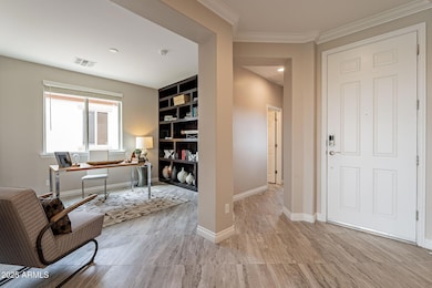 6-web-or-mls-Peach Tree-6