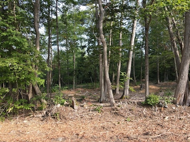 Lot 2 Oak Pond Rd, Skowhegan, ME 04967 - photo 2