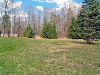 Yard/Garden.