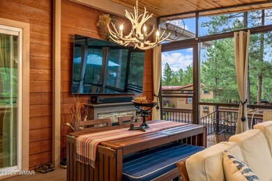 TV in Screened in Porch Area
