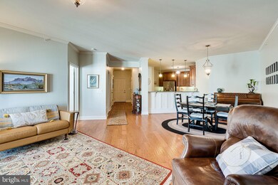 24660 Woolly Mammoth Terrace unit 401, Aldie, VA 20105 - photo 6