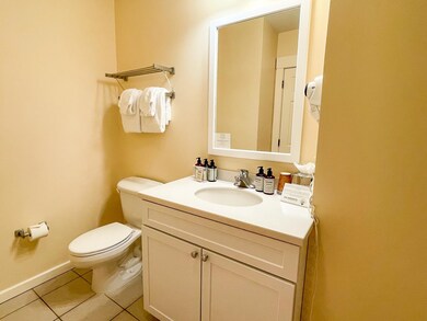 243 Q4 Jackson Gore unit 243 Q4, Ludlow, VT 05149 - photo 6