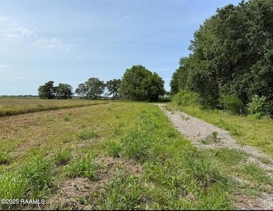 Photo Jun 05 2025, 3 13 48 PM