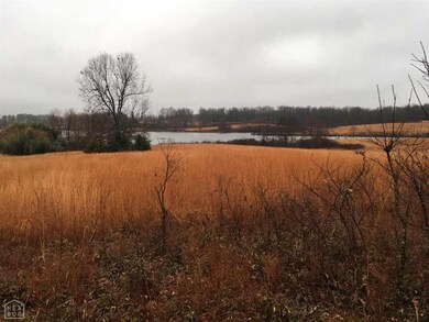 0 Terra Hills Phase VI unit 10089278, Jonesboro, AR 72405 - photo 5