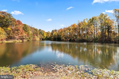 6611 Netties Ln unit 24L, Alexandria, VA 22315 - photo 3
