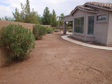 backyard 3