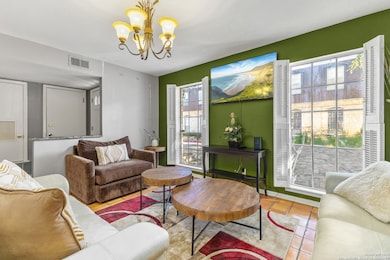 1045 Shook Ave unit 106B, San Antonio, TX 78212 - photo 6