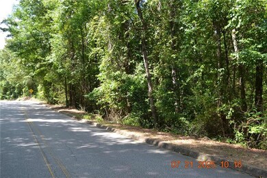 310 Wright Rd, Phenix City, AL 36869 - photo 7