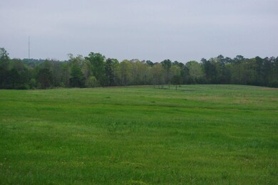 000 Carnes Rd_Pasture (2)