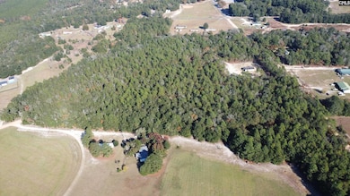 TBD Tosha Ln, Salley, SC 29137 - photo 3