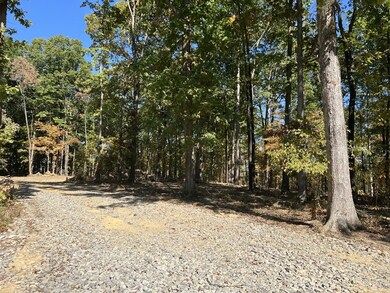 0 Highway 232 unit 128207, Stewart, TN 37175 - photo 5