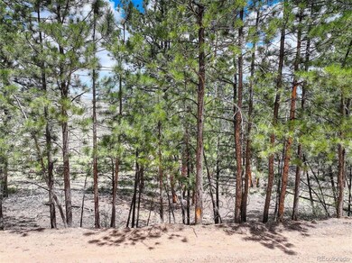 54 Holmes Gulch Rd, Bailey, CO 80421 - photo 5