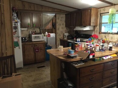 36834 & 36824 Pelton St, Zephyrhills, FL 33541 - photo 4