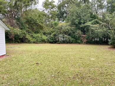 419 E 3rd St, Adel, GA 31620 - photo 4