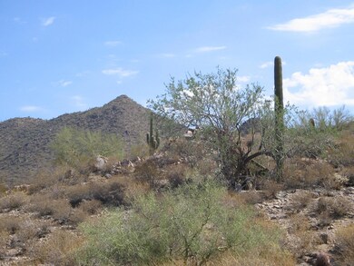 Eagles Nest Lot Looking to the North