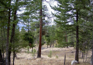 168 Torto Loop, Kila, MT 59920 - photo 6