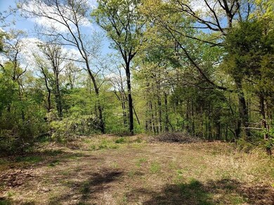 12 Otley Ln, Bella Vista, AR 72714 - photo 3