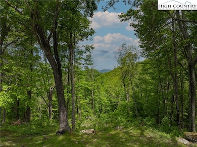 EC1 Eagle Crest Trail, Elk Park, NC 28604 - photo 3