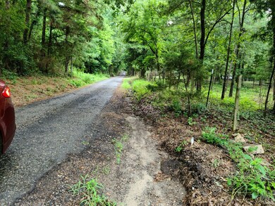 Lot 3 County Road 702, Nacogdoches, TX 75964 - photo 5